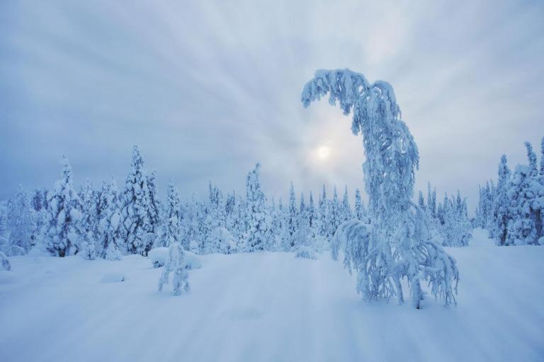 Skyfire Village Igloos - Includes transportation, meals&accommodation Rovaniemi Extérieur photo
