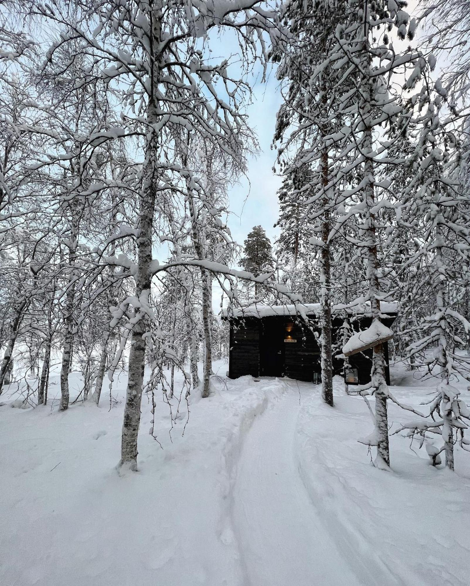 Skyfire Village Igloos - Includes transportation, meals&accommodation Rovaniemi Extérieur photo